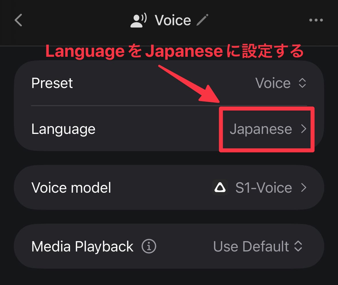 LanguageをJapaneseに設定